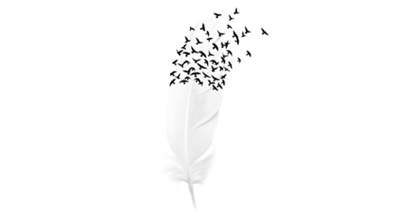 White feather with flying birds illustration for freedom concept design and art background use