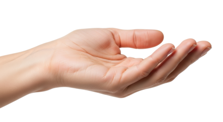 Isolated open palm of woman's hand in offer gesture against neutral backdrop, skin tones