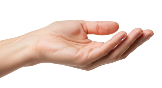 Isolated open palm of woman's hand in offer gesture against neutral backdrop, skin tones