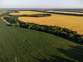Aerial green summer farmland scenery with agriculture fields in fertile rural Ukraine