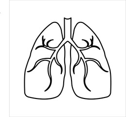 Lungs flat line icon. Thin vector pictogram of human internal organs, outline illustration for lung clinic.