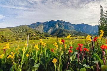 Natural beauty of Mount Kinabalu National Park, UNESCO World Heritage Site in Sabah, Malaysia.