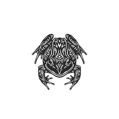 Fototapeta premium turtle isolated on white