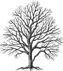 Obraz premium Bare tree sketch hand drawn silhouette with detailed branches — stock vector