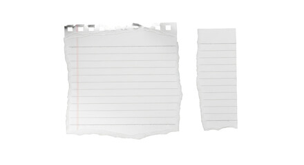 Two torn pieces of lined notebook paper isolated on isolated on transparent background