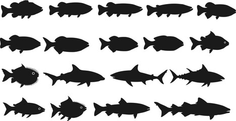 Fish silhouette sequence, black vector art, aquatic evolution, marine transformation, underwater species, spiky fins, ocean life, graphic design, biology