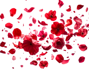 Dynamic Motion of Scarlet Petals in Festive Celebration