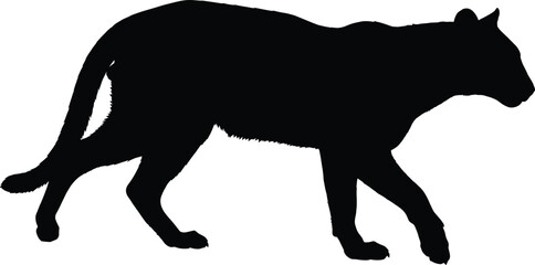 Panther, Cougar, Puma, Leopard, Jaguar, Feline, Predator, Wild, Animal, Silhouette, Cat, Beast, Hunter, Stealth, Nature, Wildlife, Jungle, Power, Strength, Symbol