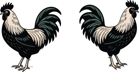 Two black and white roosters standing, farm poultry illustration, vintage style chicken drawing, colorful feathers, rural animal artwork, vector © Amelia's orld
