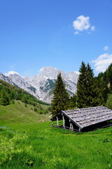 A small wooden cabin rests on a green alpine meadow with tall pines and rocky mountains in the background &mdash; a peaceful scene of nature and mountain serenity