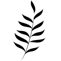 Boho style leaf design