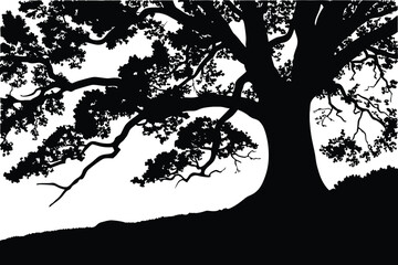Large Tree with Branches Silhouette Vector Illustration