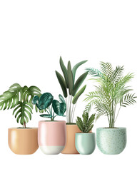 Stylish Indoor Potted Plants Collection on Transparent Background