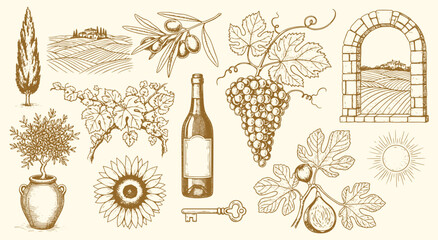 Tuscany. Vineyard. Engraving. A vintage hand drawn vector illustration set of Italian vineyard elements for a wine label, a restaurant menu, a travel poster, or a packaging design.