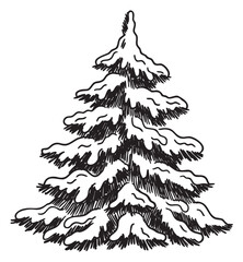Obraz premium Black and white drawing of snow-covered pine tree in winter – retro hand drawn illustration