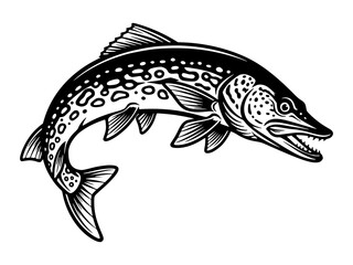 Jumping Pike Fish Vector Illustration, Fishing, Angling, Predator, Water, Wildlife