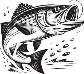 Woodcut Style Striped Bass Jumping Illustration in Black and White