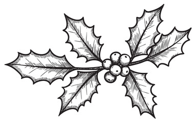 Naklejka premium Vintage holly leaves and berries drawing in black and white – retro hand drawn illustration