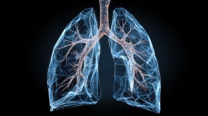 A detailed 3D representation displays the human lungs with a complex bronchial network. The model highlights the structure and function of this vital organ effectively.