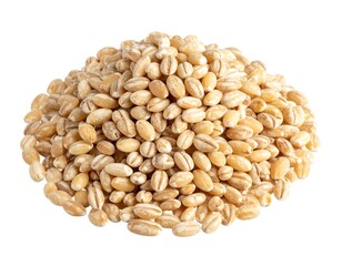 Fototapeta premium Pile of hulled barley grains
