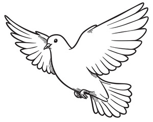 Fototapeta premium Detailed outline of a dove in flight with outstretched wings featuring smooth lines – retro hand drawn illustration