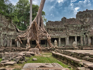 Preah Khan Tree Temple - A massive tree with sprawling roots intertwined with the ancient stone ruins of Preah Khan temple under a cloudy sky.