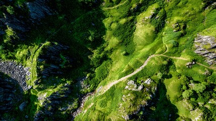 Elevated perspective showcases a vibrant green landscape with winding trails and rugged rock formations, illuminated by bright daylight.