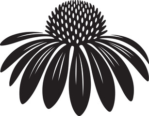 Stylized Echinacea Flower Illustration