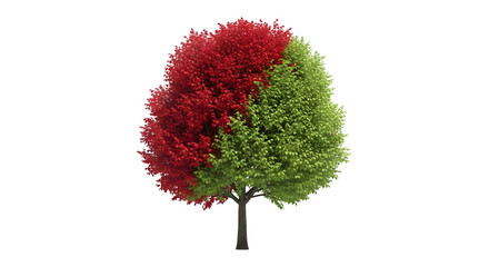 A single tree with half its leaves red and the other half green, isolated on transparent background