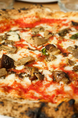 Neapolitan pizza with porcini mushrooms and mozzarella