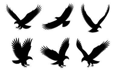 Obraz premium Isolated on white background, a collection of eagle silhouettes in flight