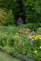 Obraz premium massif de fleurs, onagre, dahlia, kiosque de jardin, Les Jardins de l'Albarède, Jardin de charme, vallée du Céou, Saint Cybranet, 24, Dordogne, région Aquitaine, France