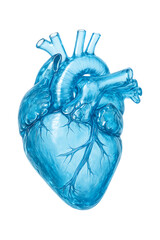 Blue Heart Anatomy High quality Realistic image.