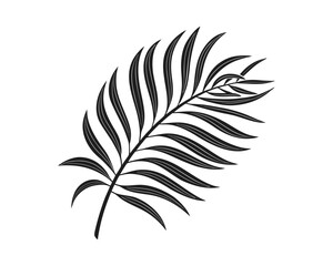 Obraz premium A stylized, hand-drawn illustration of a single palm frond with a textured, sketched appearance on a white background
