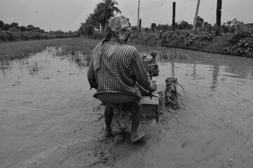 Farmer cultivating land with power tiller