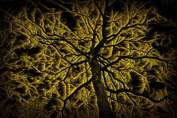 A scary halloween tree silhouette with vignette in black and yellow