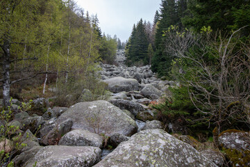 Bulgaria - Overcast day reveals a rugged mountain landscape with a flowing river of ancient boulders and dense forest.