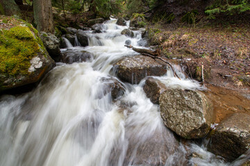 Fototapeta premium Long Exposure of a Rushing Forest Stream Cascading Over Moss-Covered Rocks