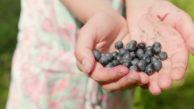 In slow motion, a young girl smiles and holds out a handful of wild blueberries in a sunny summer forest, symbolizing childhood joy, foraging, and connection to nature