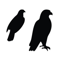 Fototapeta premium Two silhouette birds of prey with sharp beaks and talons against a white background