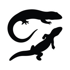 Two silhouetted salamanders with long tails on a white background