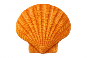 Furry orange scallop shell with striped texture, creating a surreal and whimsical beach fantasy concept