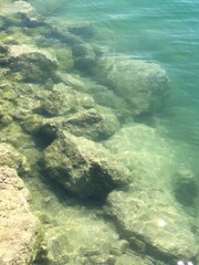 Fototapeta premium Clear water over rocky bottom creating a tranquil aquatic scene