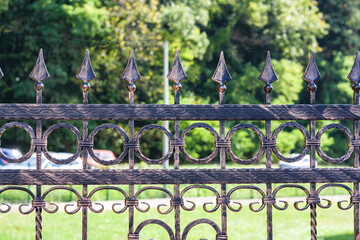 Ornamental Wrought Iron Fence. Metal Fence.