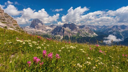 Fototapeta premium Panoramic view of alpine meadow with blooming wildflowers under a bright blue sky, surrounded by dramatic rocky peaks, fluffy clouds, and breathtaking mountain scenery in pristine natural beauty.