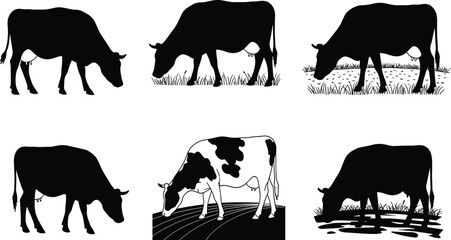 Cow silhouettes grazing in fields and drinking water, farm animal illustrations showing rural agriculture lifestyle, livestock farming vector collection set