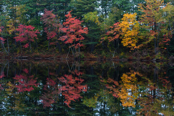 Brilliant autumn colors off the Kancamagus Highway in New Hampshire