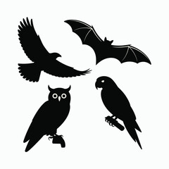 Black silhouettes of an eagle, bat, owl, and parrot on a white background birds