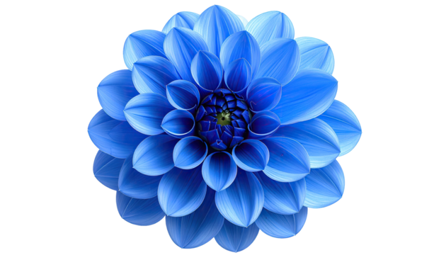 Vibrant, vivid blue dahlia flower in close-up - Powered by Adobe