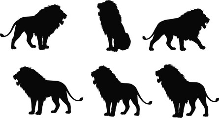 Silhouette lions standing sitting roaring walking majestic mane wild animal collection powerful posture regal wildlife vector illustration design